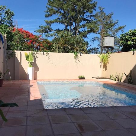 Colibri Hostel Puerto Iguazú Eksteriør billede