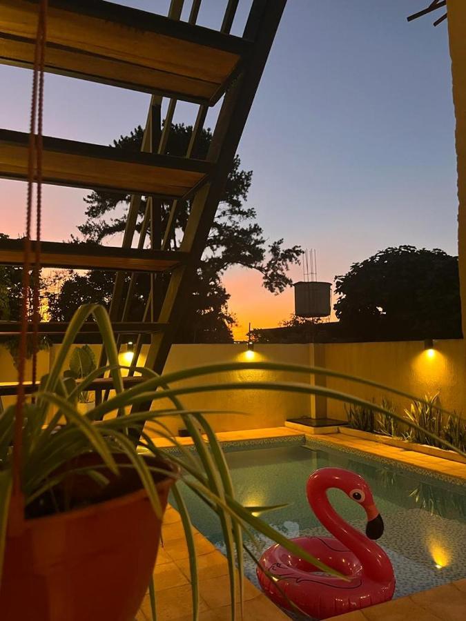 Colibri Hostel Puerto Iguazú Eksteriør billede